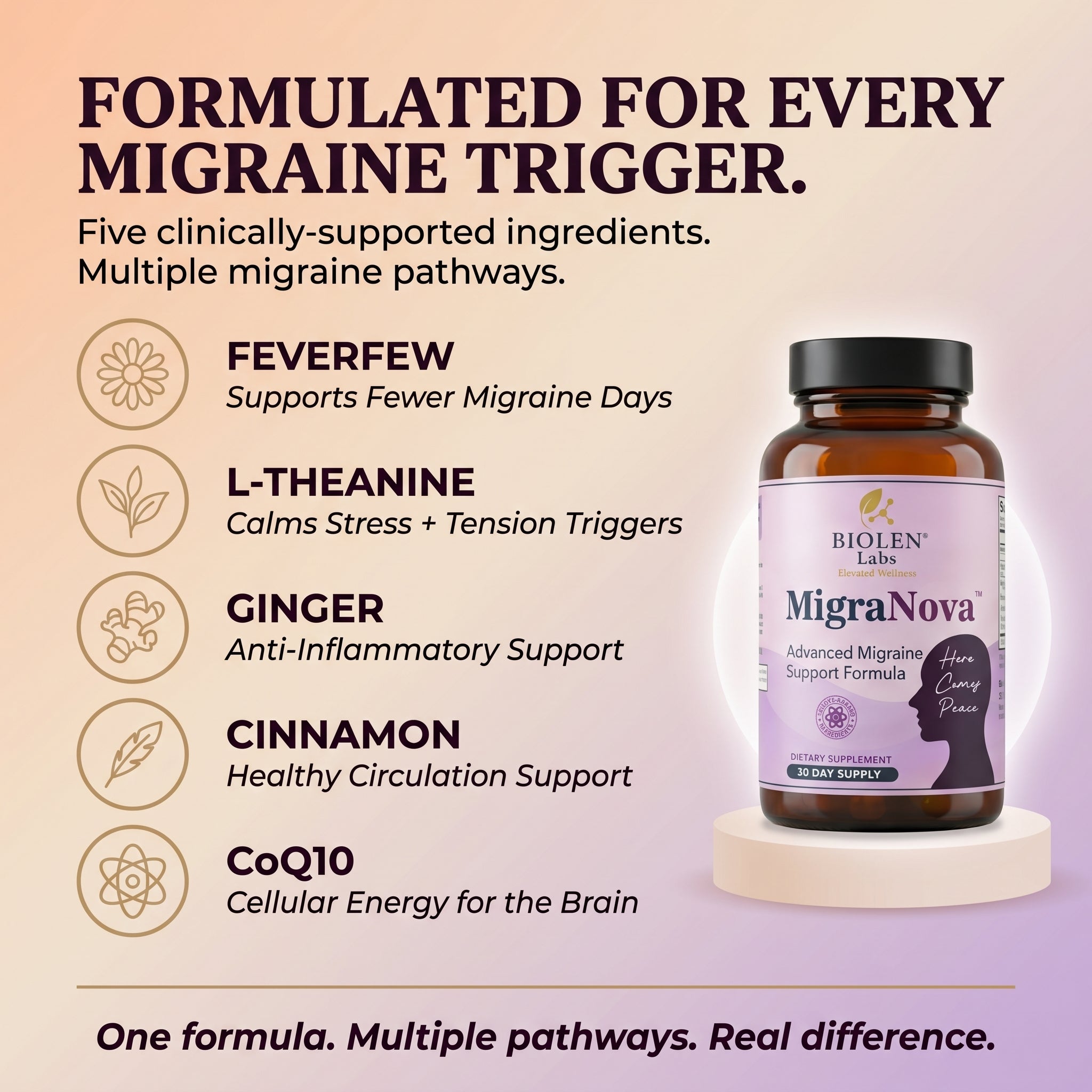 MigraNova ingredients: Feverfew, L-Theanine, Ginger, Cinnamon, CoQ10